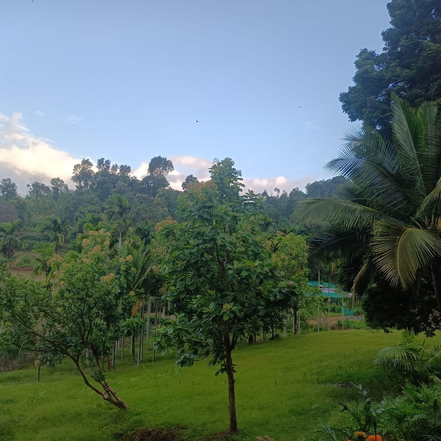 Padavayal Greens Attappādi 外观 照片