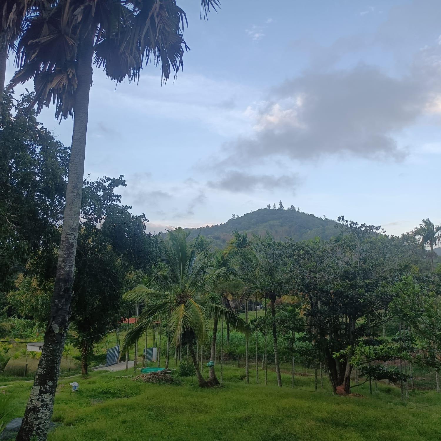 Padavayal Greens Attappādi 外观 照片
