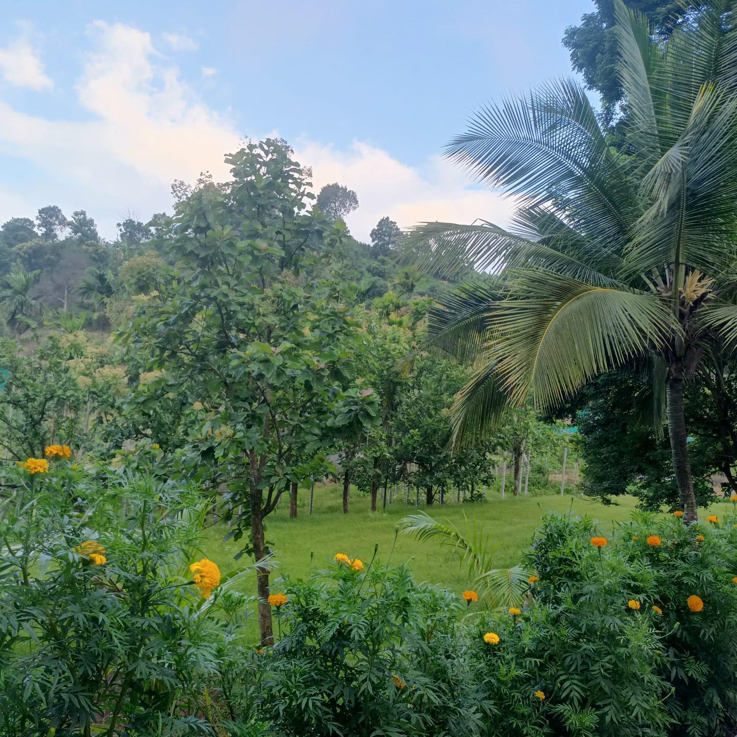 Padavayal Greens Attappādi 外观 照片